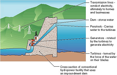 Drawing showing a cross section of an impoundment dam and hydropower plant. Transmission lines conduct electricity to homes and businesses. Dam stores water. Penstock carries water to the turbines. Generators are rotated by the turbines to generate electricity. Turbines are turned by the force of the water on their blades.