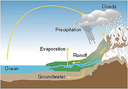 This illustration of the water or hydrologic cycle shows how water evaporates into clouds, precipitates, forms rivers that flow downhill into the ocean, and begins the cycle again.