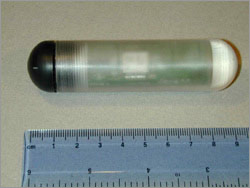 Photo of a fish sensor aligned against a ruler measuring approximately 9 cm long.